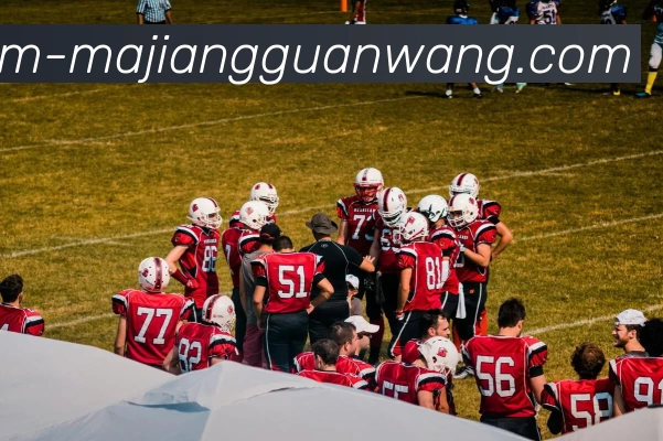 多媒体互动体验