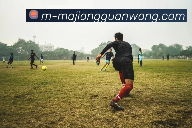 麻将官网APP 体育赛事宣传图